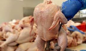 واردات مرغ از بلاروس مجوز ندارد