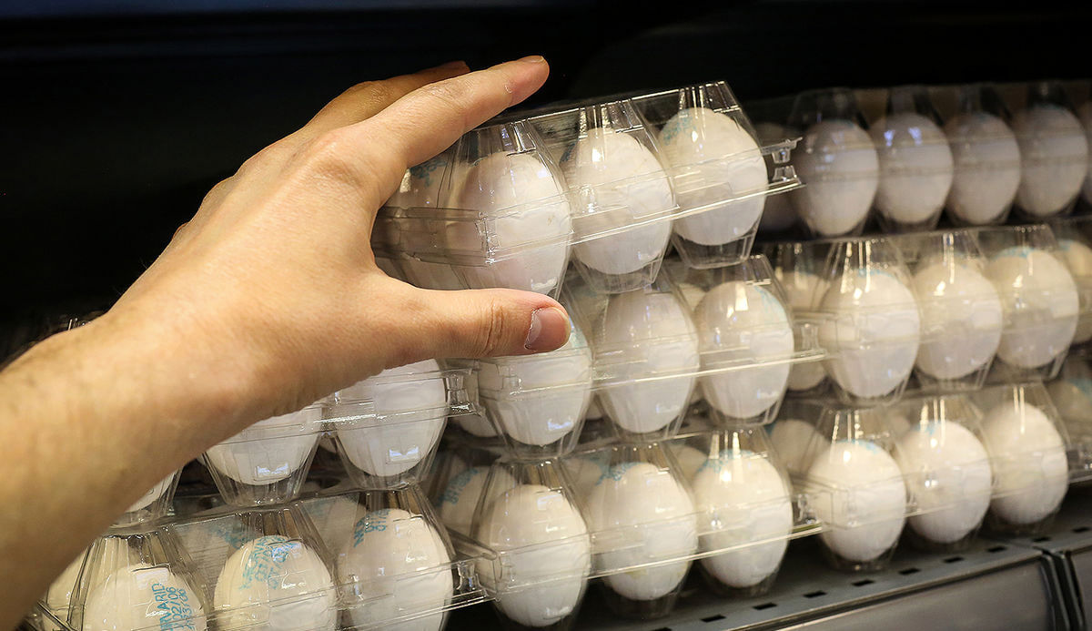 قیمت جدید تخم مرغ بسته‌بندی چقدر است؟